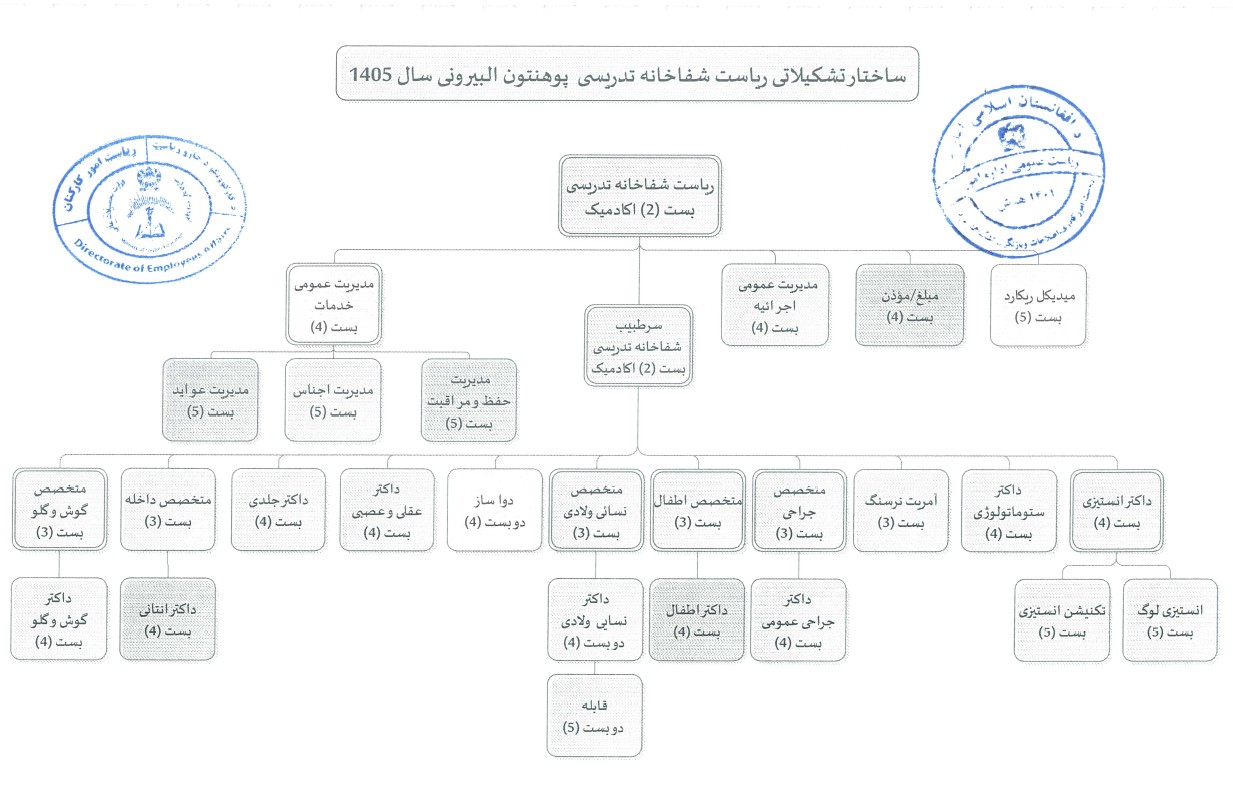 ساختار تشکیلاتی شفاخانه تدریسی